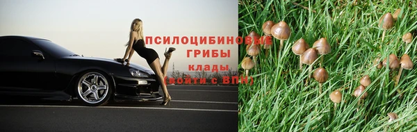 СК Зеленодольск