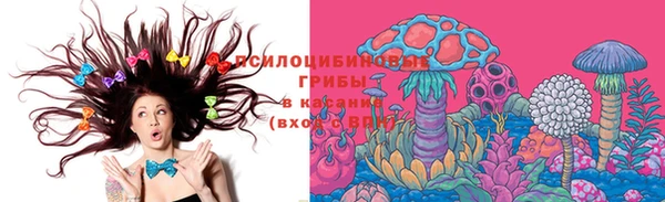 прущие грибы Алексеевка